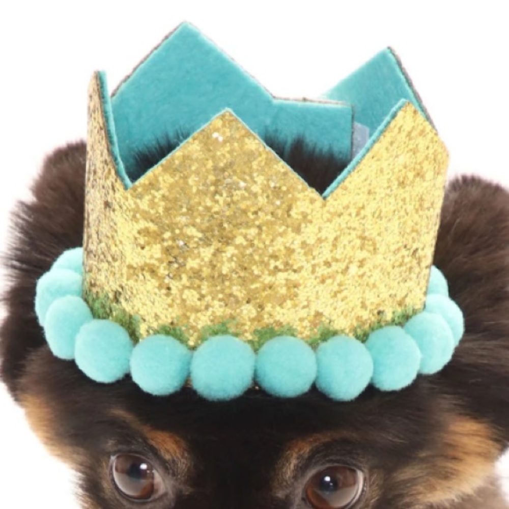 Dog crown